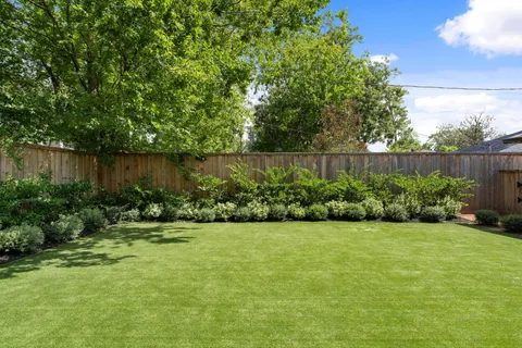 a view of a backyard with potted plants and large tree
