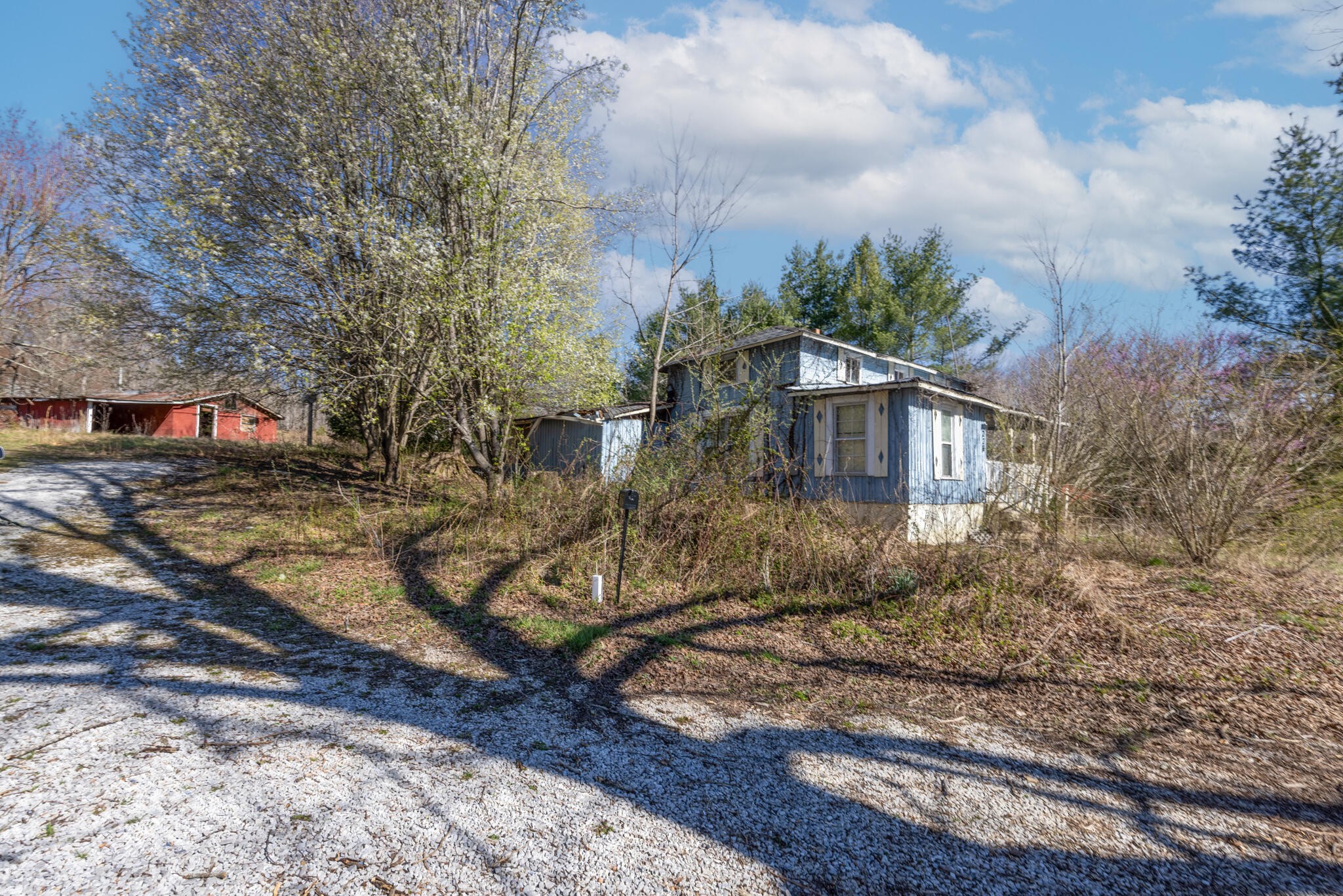 226 Tompkins Road Robbins, TN 37852 - Photo 4 of 16 Gallery Image 4
