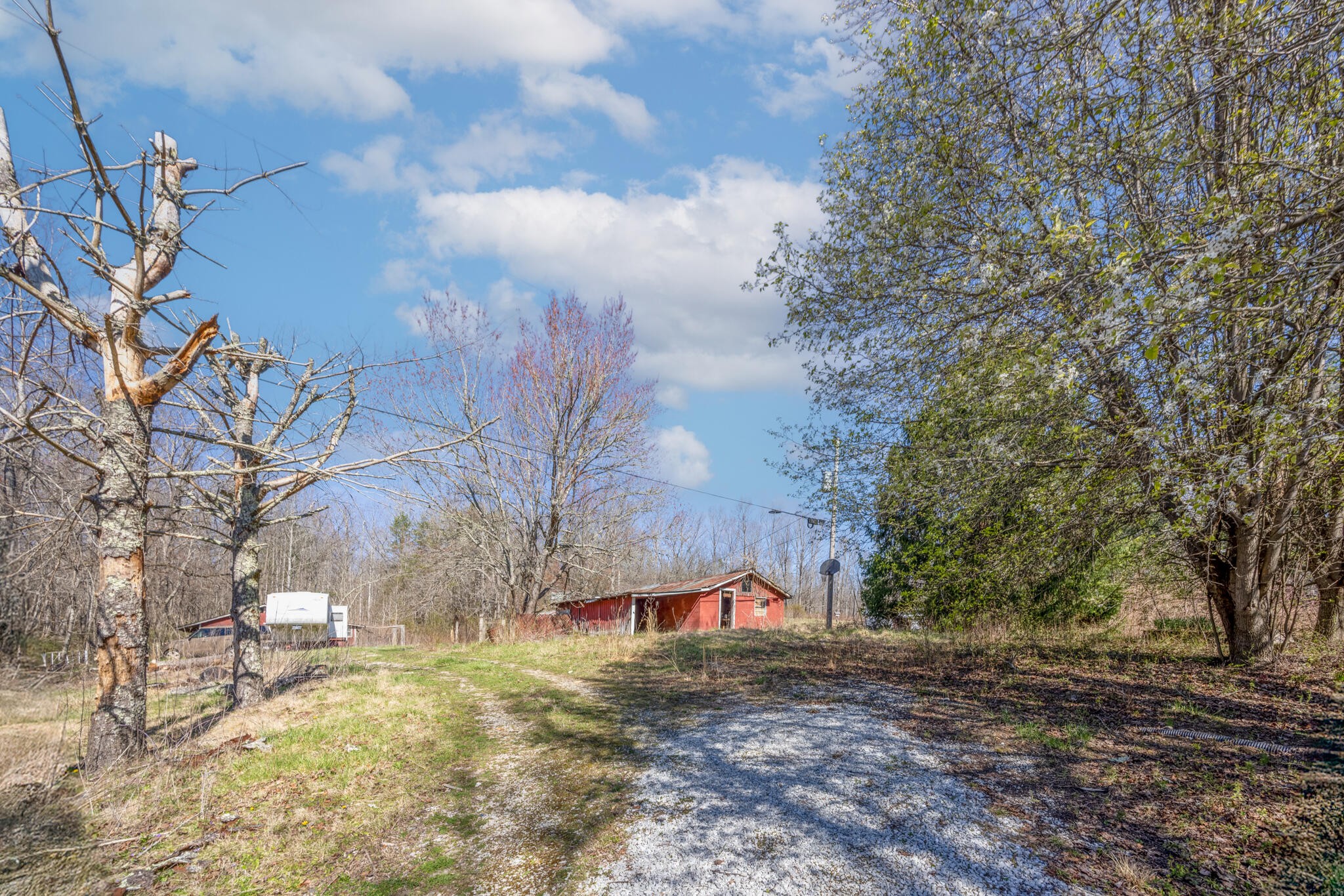 226 Tompkins Road Robbins, TN 37852 - Photo 5 of 16 Gallery Image 5