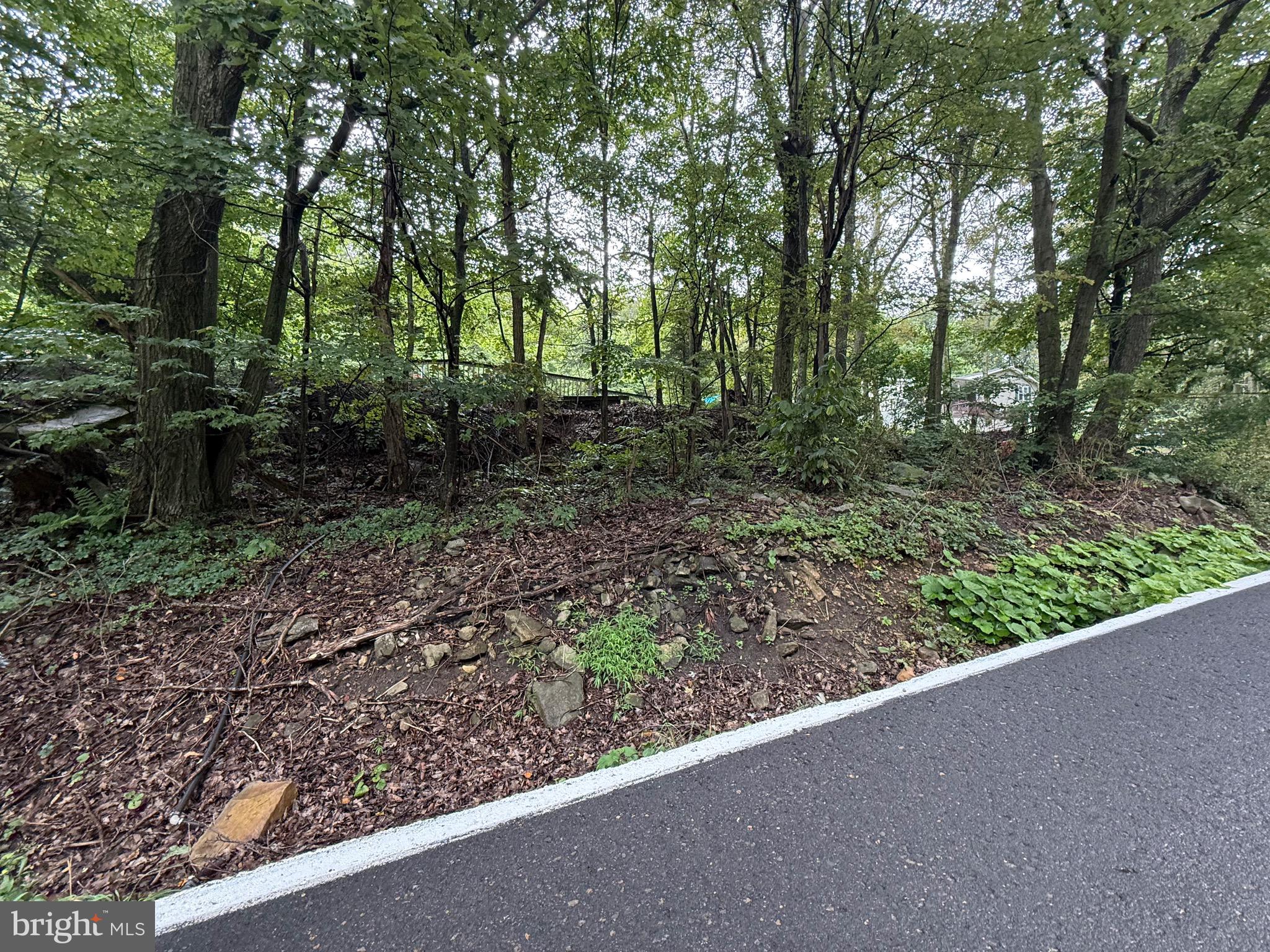 0 Pinnacle Road Keyser, WV 26726 - Photo 46 of 61