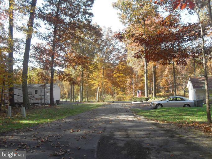 2921 Warehime Road Manchester, MD 21102 - Photo 12 of 30 a view of road with trees