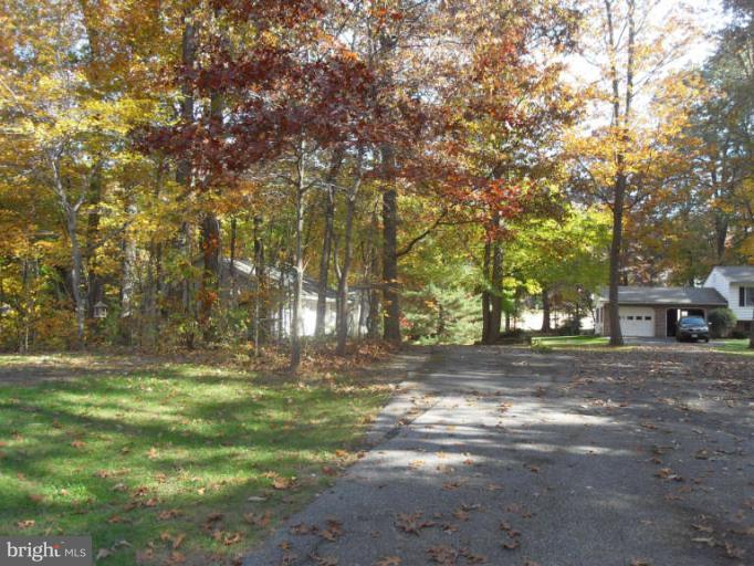 2921 Warehime Road Manchester, MD 21102 - Photo 10 of 30 a view of a yard with a trees