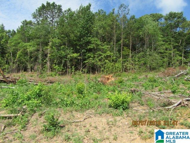 550 Davis Acres Drive, Unit 15 Alpine, AL 35014 - Photo 9 of 48
