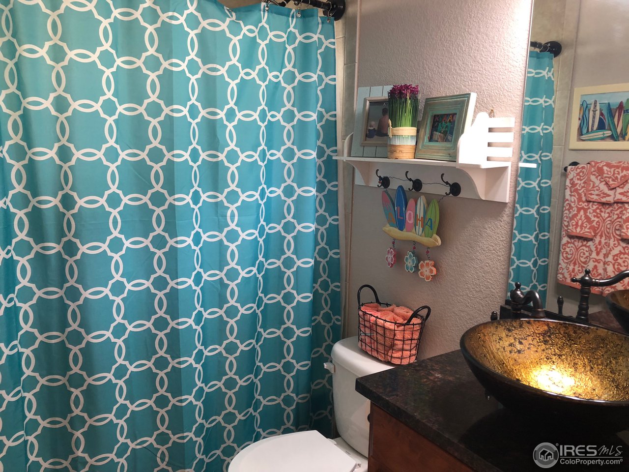 333 Braveheart Road Johnstown, CO 80534 - Photo 15 of 32 Main floor Bath