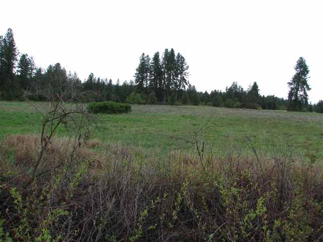 38-zz East Greenbluff Road Mead, WA 99021 - Photo 4 of 9 Gallery Image 4