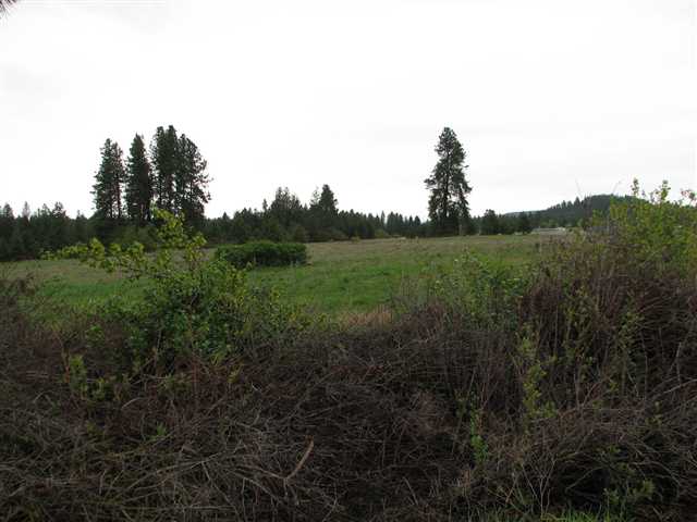 38-zz East Greenbluff Road Mead, WA 99021 - Photo 6 of 9 Gallery Image 6