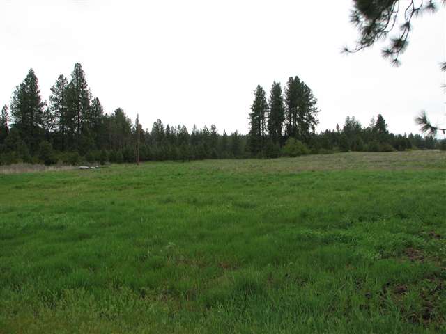 38-zz East Greenbluff Road Mead, WA 99021 - Photo 9 of 9 Gallery Image 9