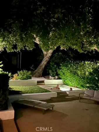 a view of a backyard with a tree