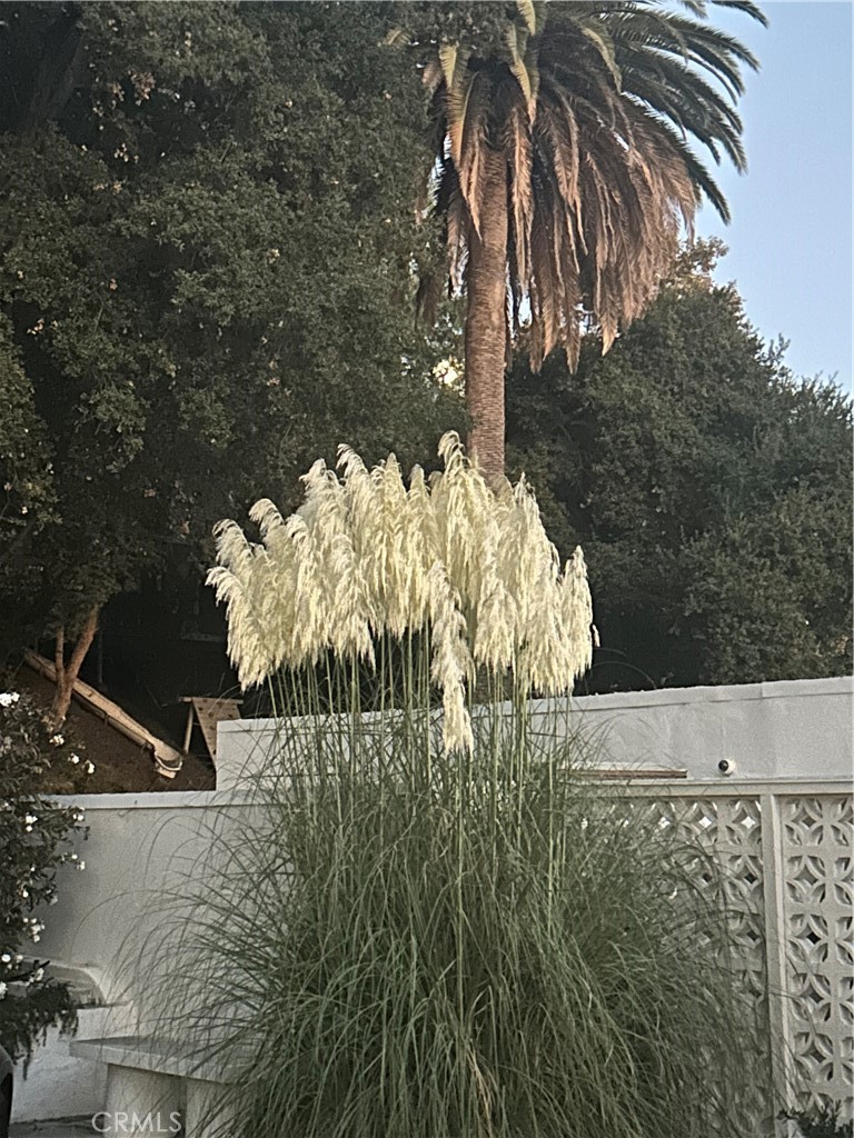 1030 San Rafael Lane Pasadena, CA 91105 - Photo 52 of 56 a view of a lake