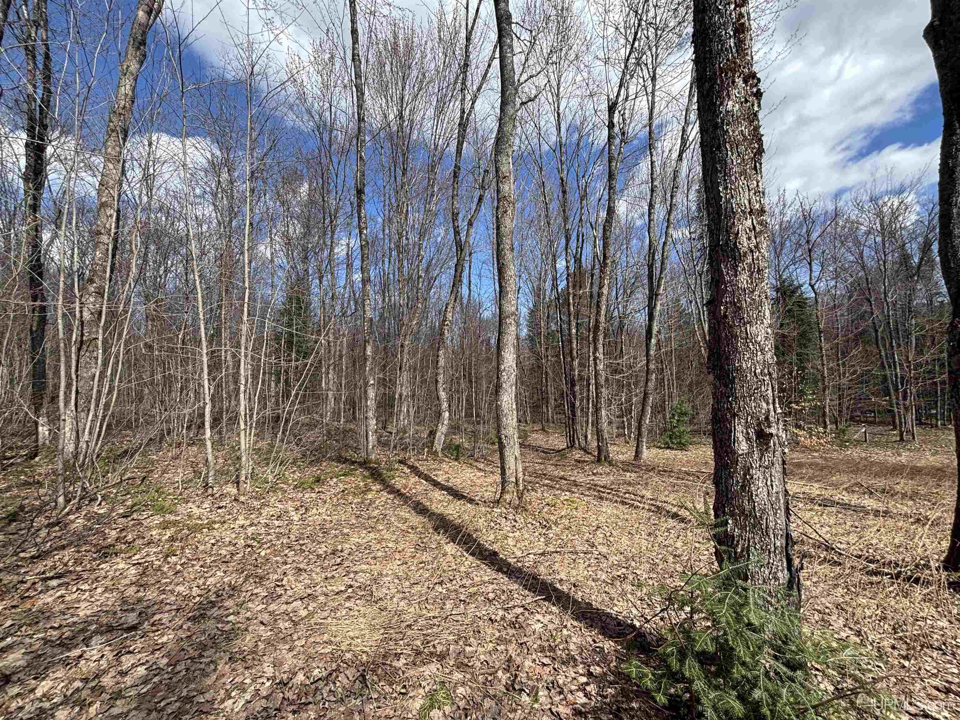 11445 Chesbrough Lake Road Newberry, MI 49868 - Photo 61 of 75