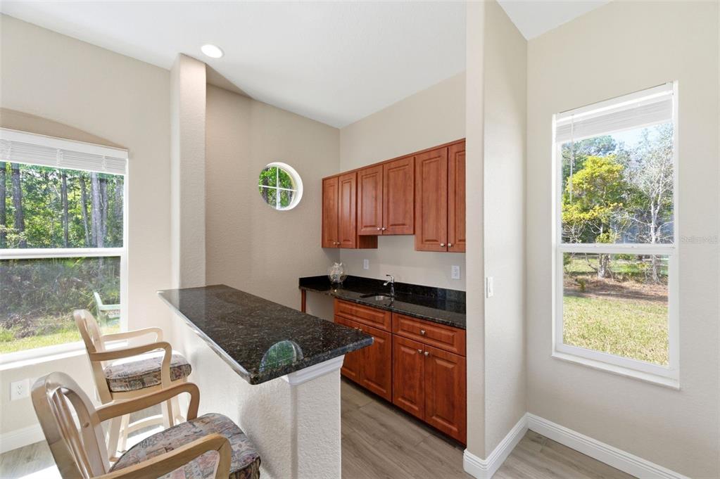 4453 Lake In The Woods Drive Spring Hill, FL 34607 - Photo 21 of 87