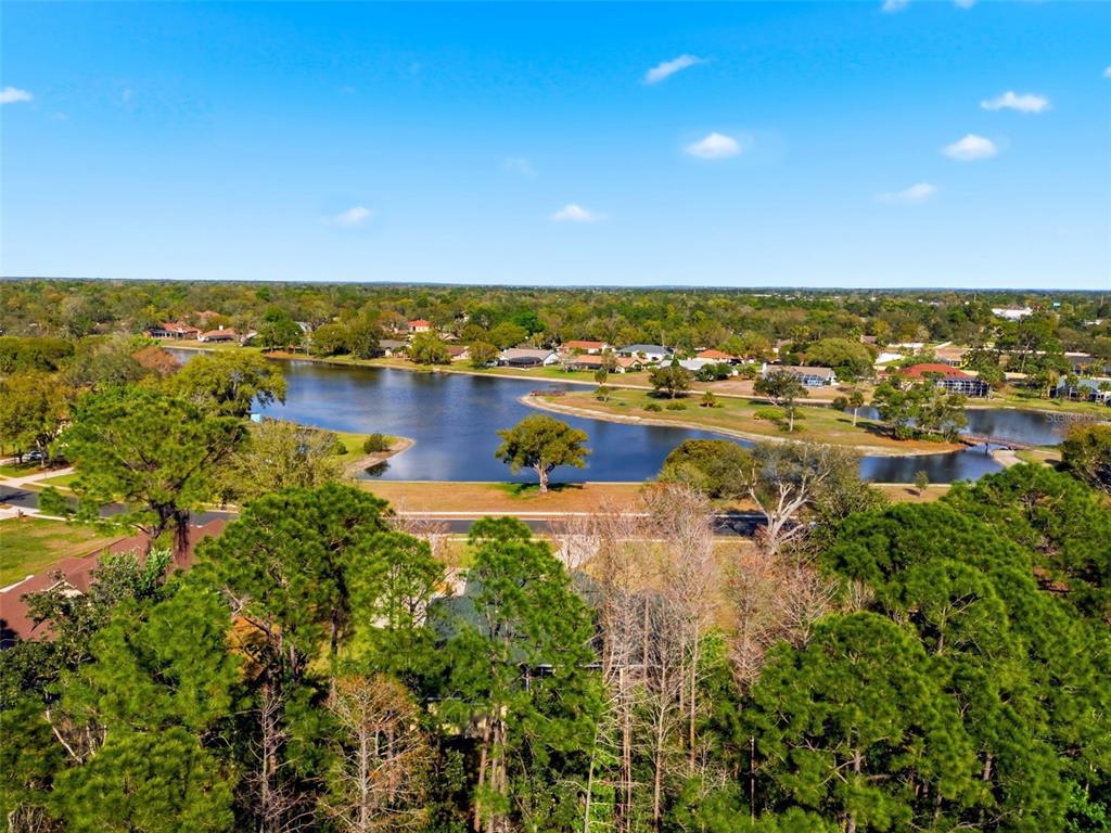 4453 Lake In The Woods Drive Spring Hill, FL 34607 - Photo 78 of 87