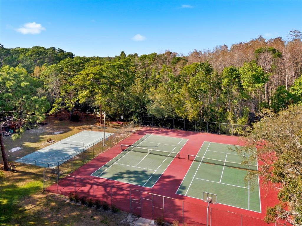 4453 Lake In The Woods Drive Spring Hill, FL 34607 - Photo 86 of 87