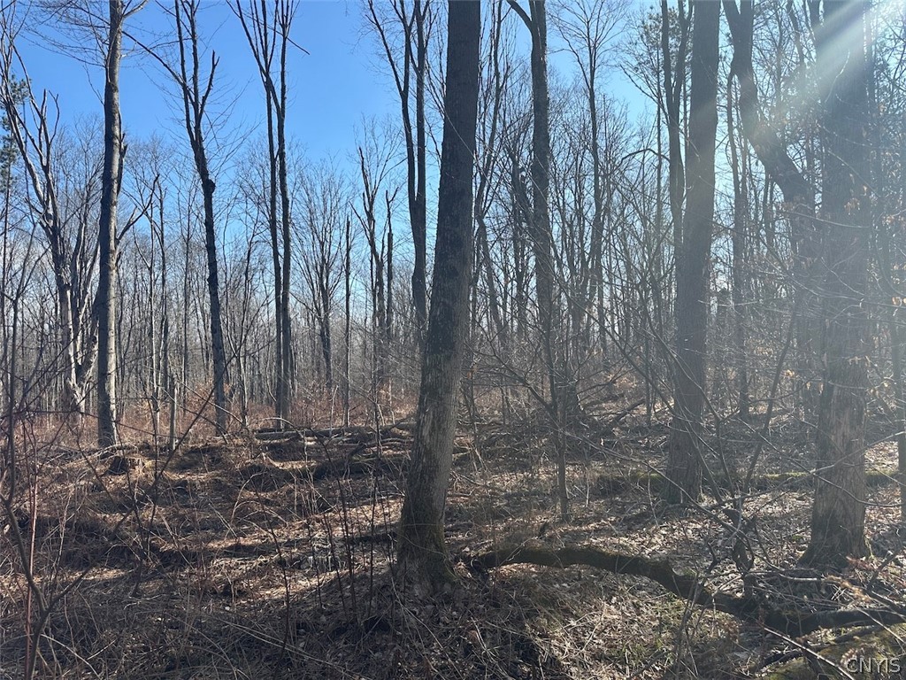 Worden Road Angelica, NY 14709 - Photo 11 of 23