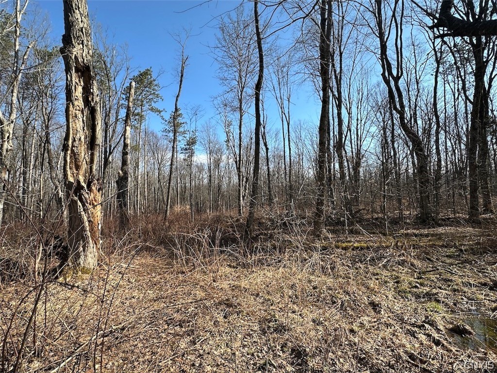 Worden Road Angelica, NY 14709 - Photo 12 of 23