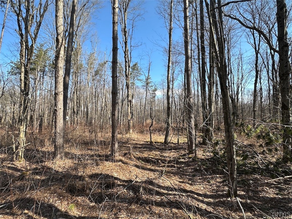 Worden Road Angelica, NY 14709 - Photo 13 of 23