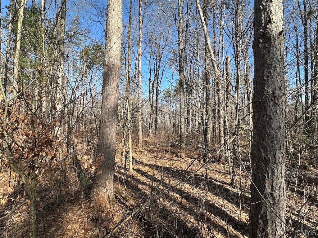 Worden Road Angelica, NY 14709 - Photo 14 of 23