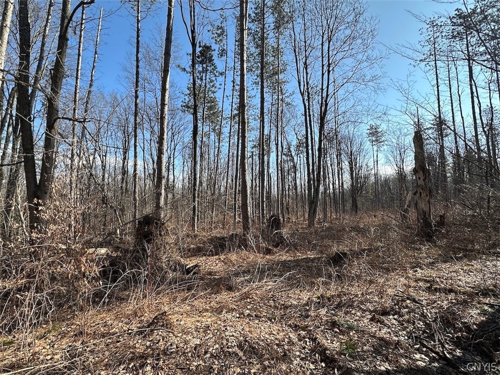 Worden Road Angelica, NY 14709 - Photo 15 of 23