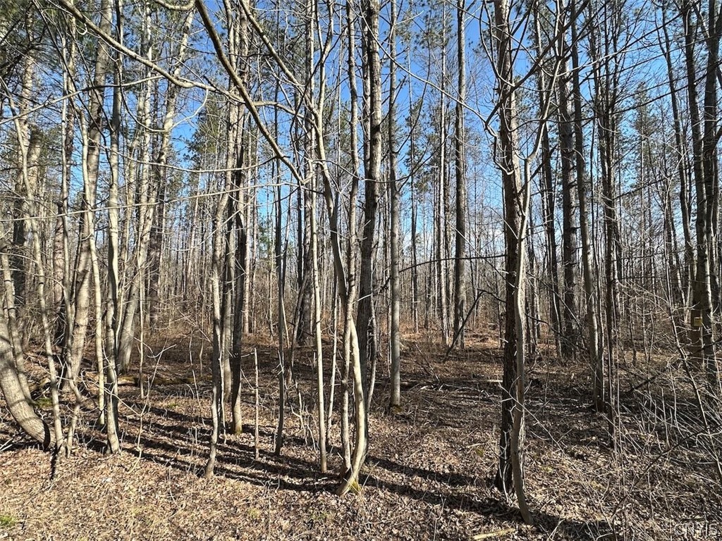 Worden Road Angelica, NY 14709 - Photo 16 of 23