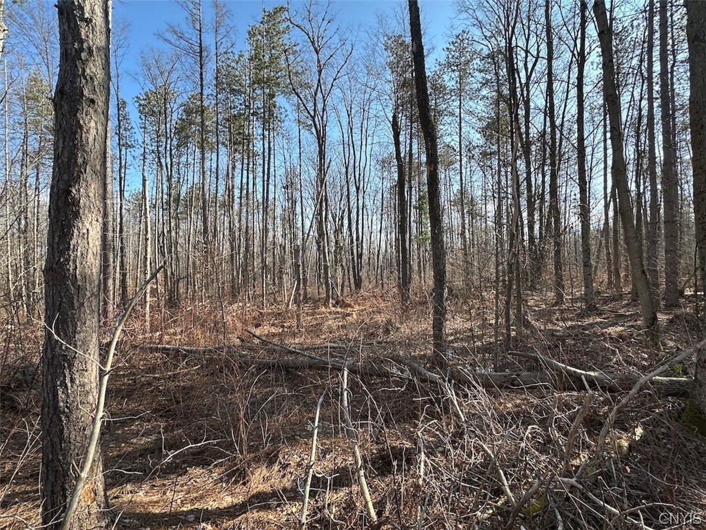 Worden Road Angelica, NY 14709 - Photo 17 of 23