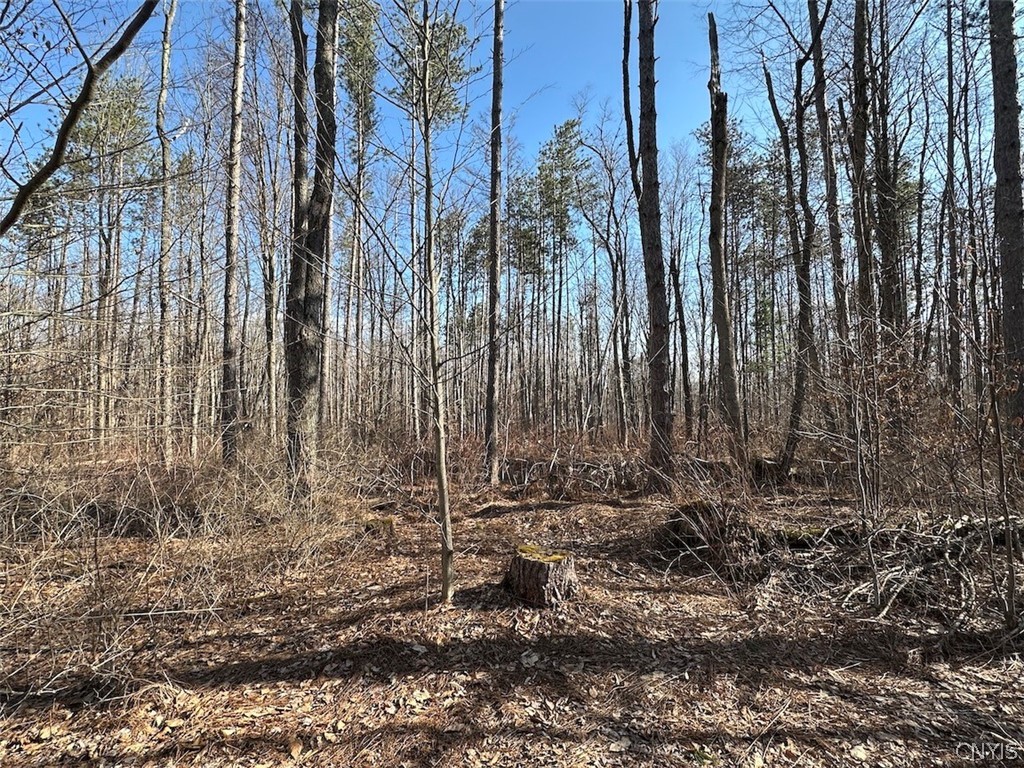 Worden Road Angelica, NY 14709 - Photo 18 of 23