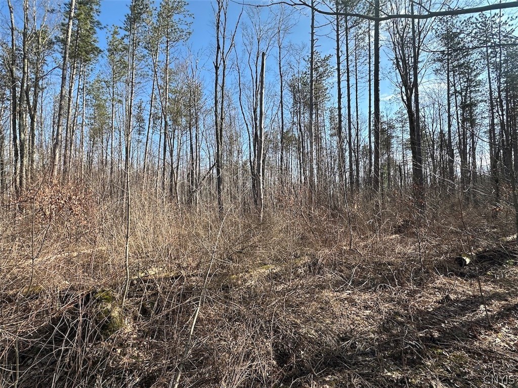 Worden Road Angelica, NY 14709 - Photo 19 of 23