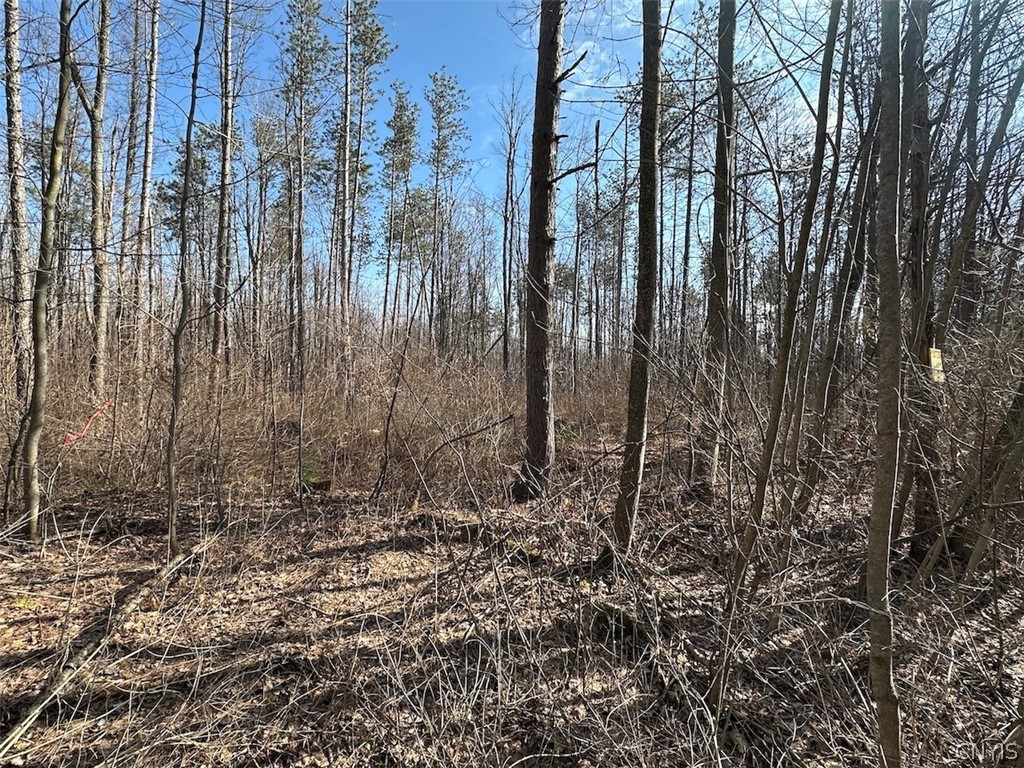 Worden Road Angelica, NY 14709 - Photo 20 of 23