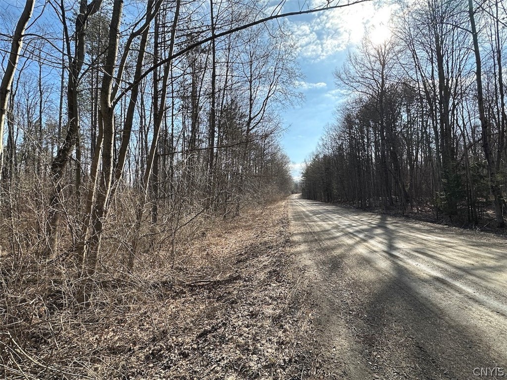 Worden Road Angelica, NY 14709 - Photo 21 of 23