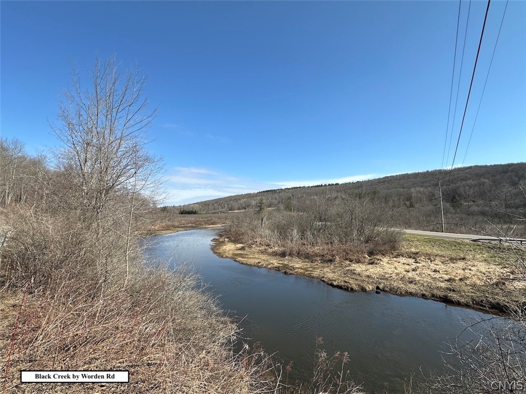 Worden Road Angelica, NY 14709 - Photo 23 of 23