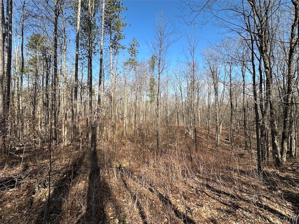 Worden Road Angelica, NY 14709 - Photo 3 of 23