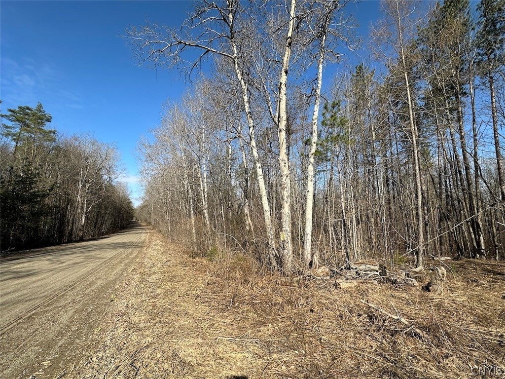 Worden Road Angelica, NY 14709 - Photo 5 of 23