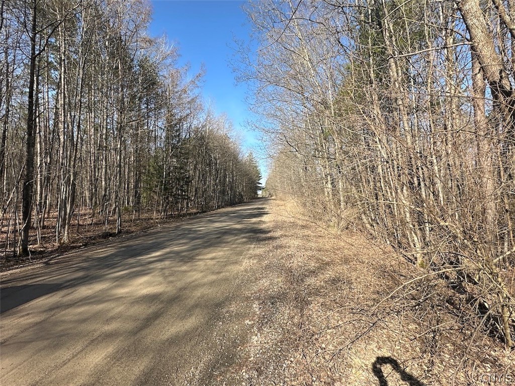 Worden Road Angelica, NY 14709 - Photo 6 of 23