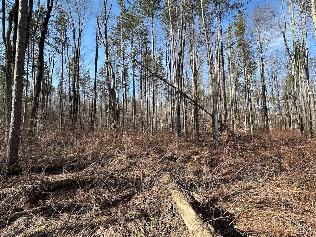 Worden Road Angelica, NY 14709 - Photo 7 of 23