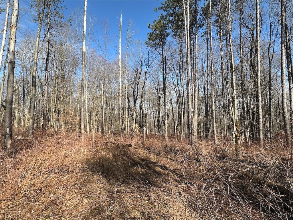 Worden Road Angelica, NY 14709 - Photo 8 of 23