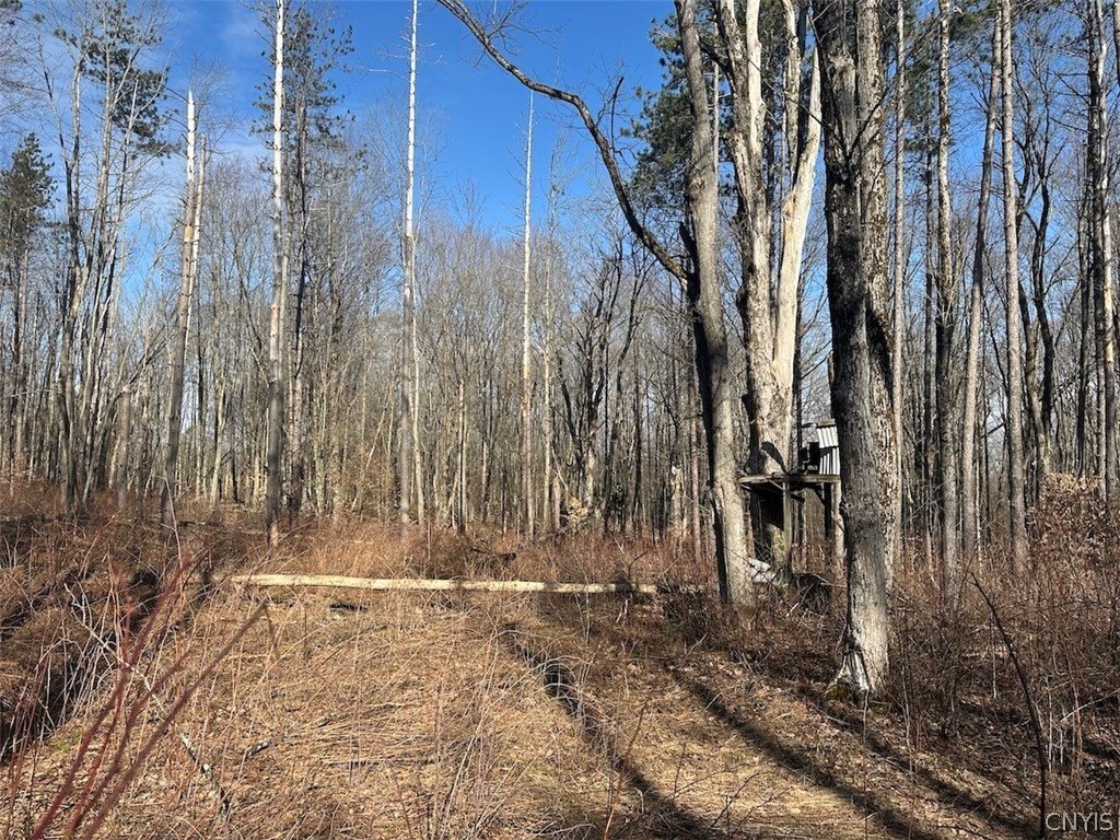Worden Road Angelica, NY 14709 - Photo 9 of 23
