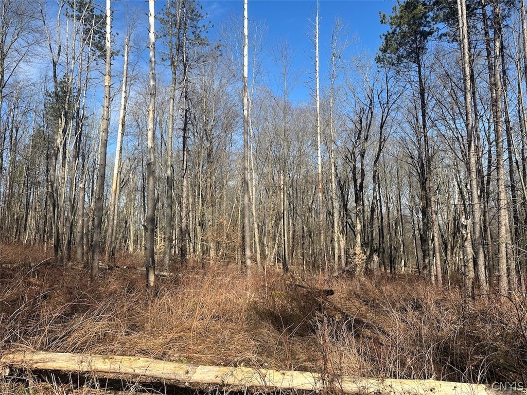 Worden Road Angelica, NY 14709 - Photo 10 of 23