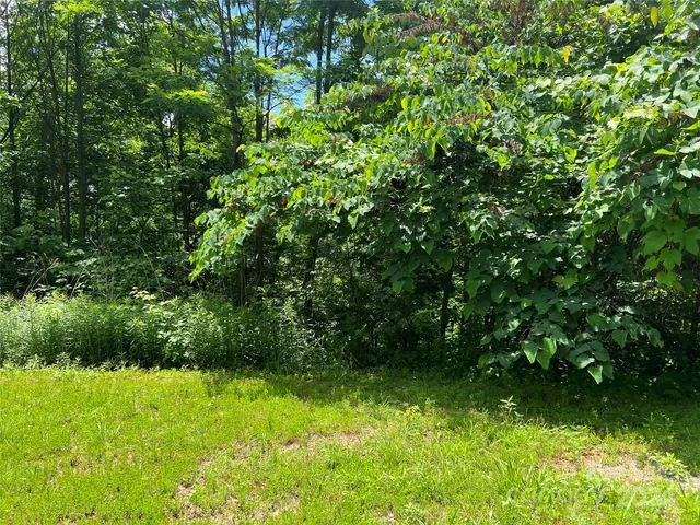 a black and white photo of a park