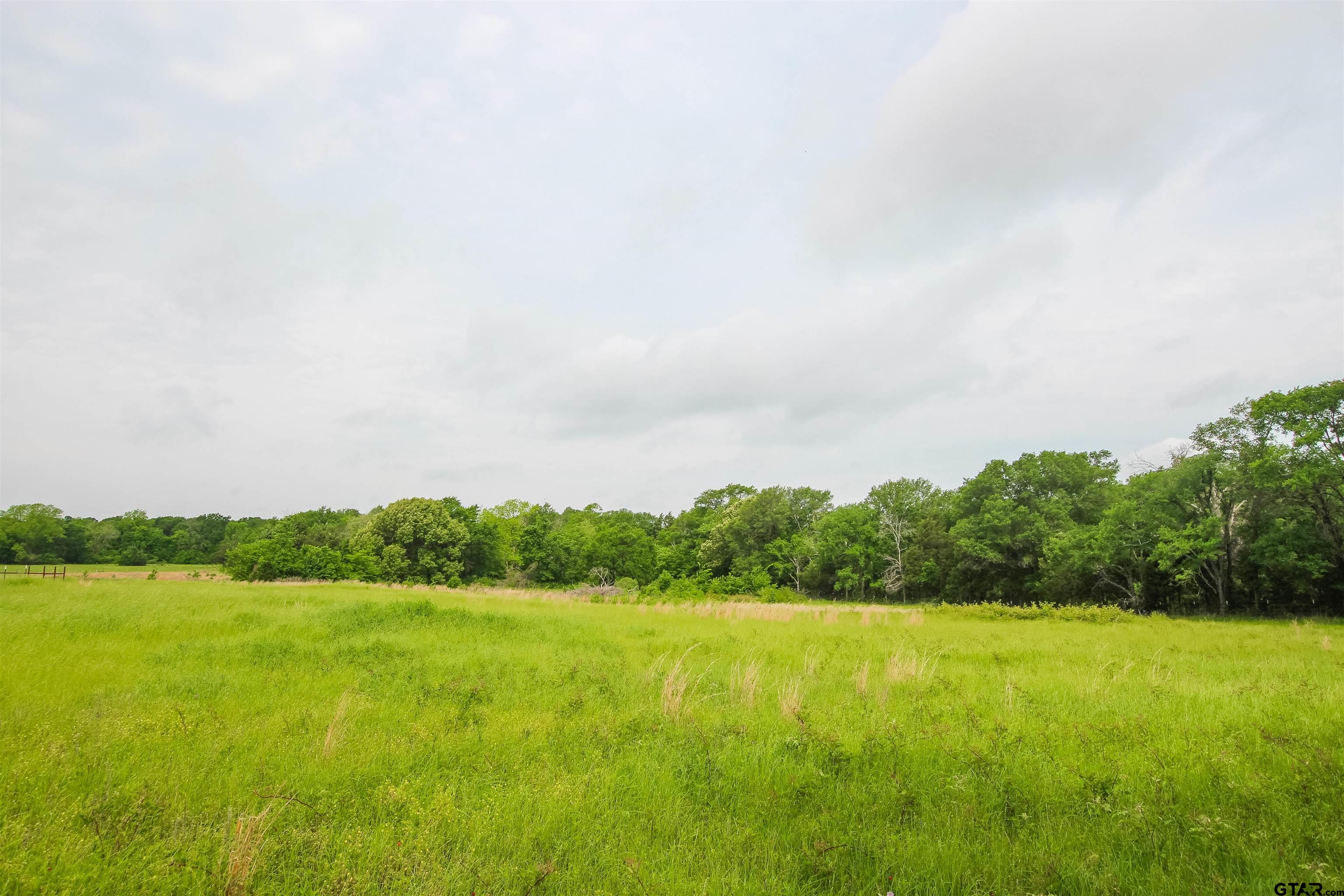 a view of a green field with wooden fence