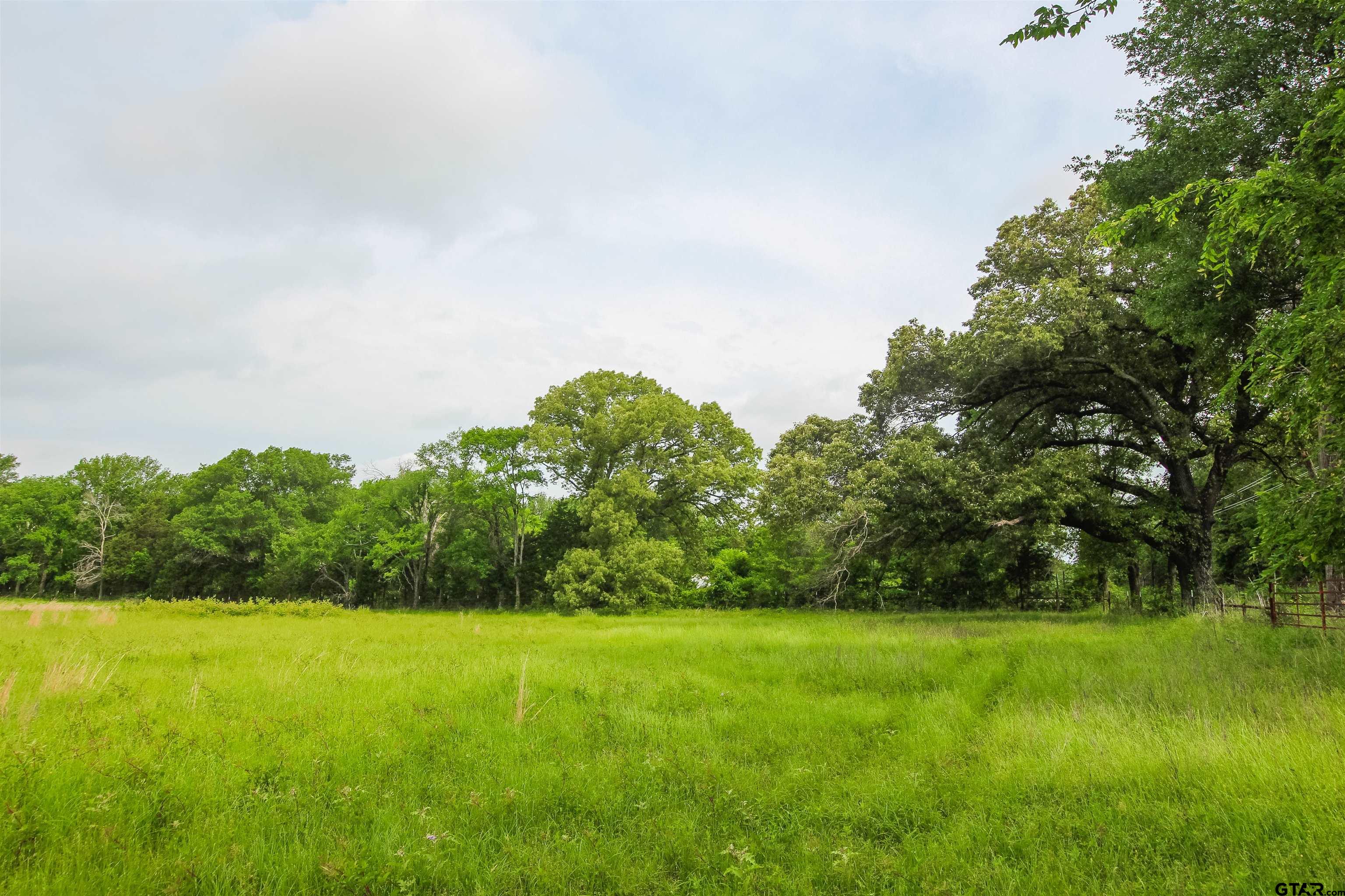 2150 Wills Point Wills Point, TX 75169 - Photo 2 of 6 a view of a garden