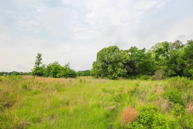 a view of an ocean from a yard