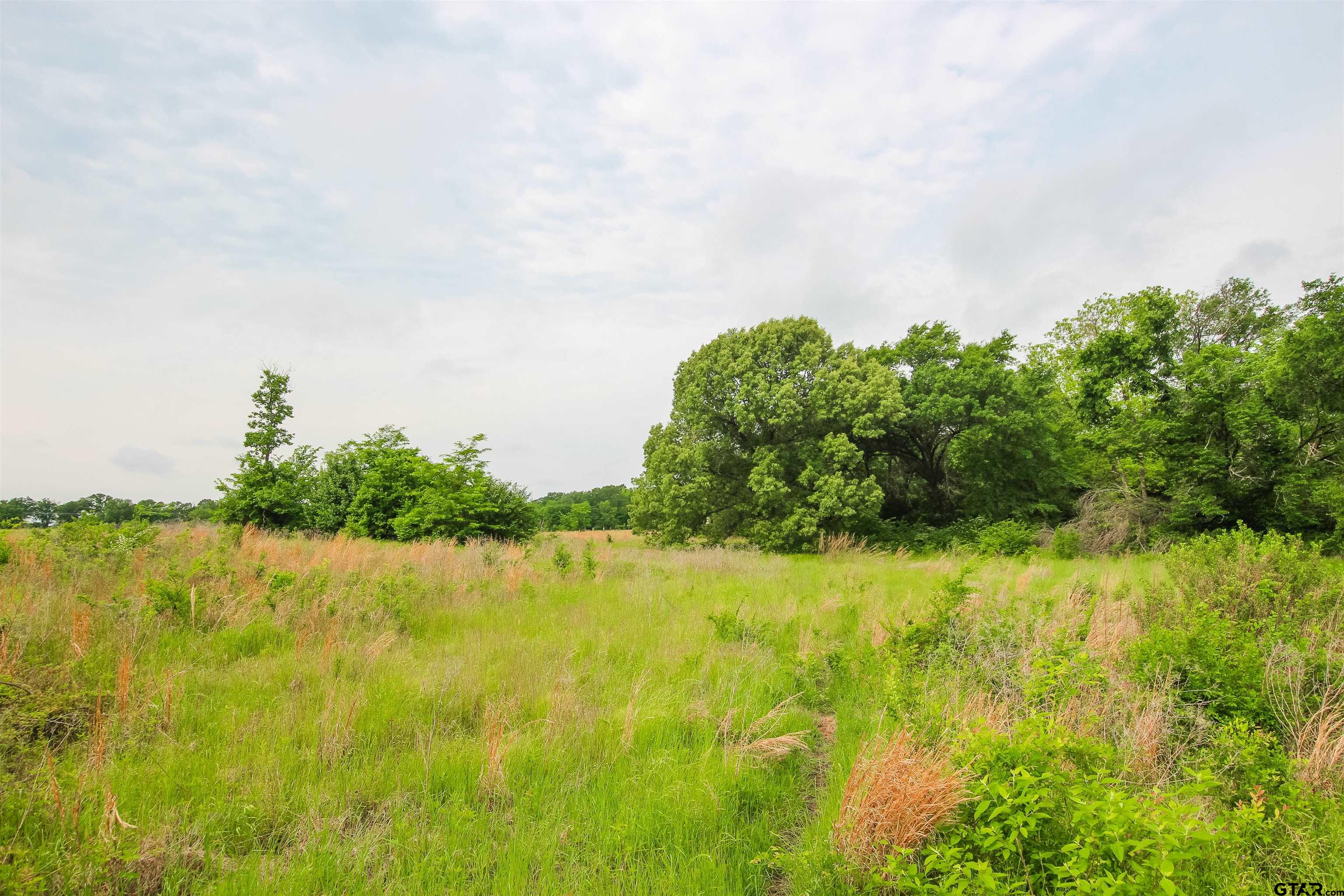 2150 Wills Point Wills Point, TX 75169 - Photo 3 of 6 a view of an ocean from a yard
