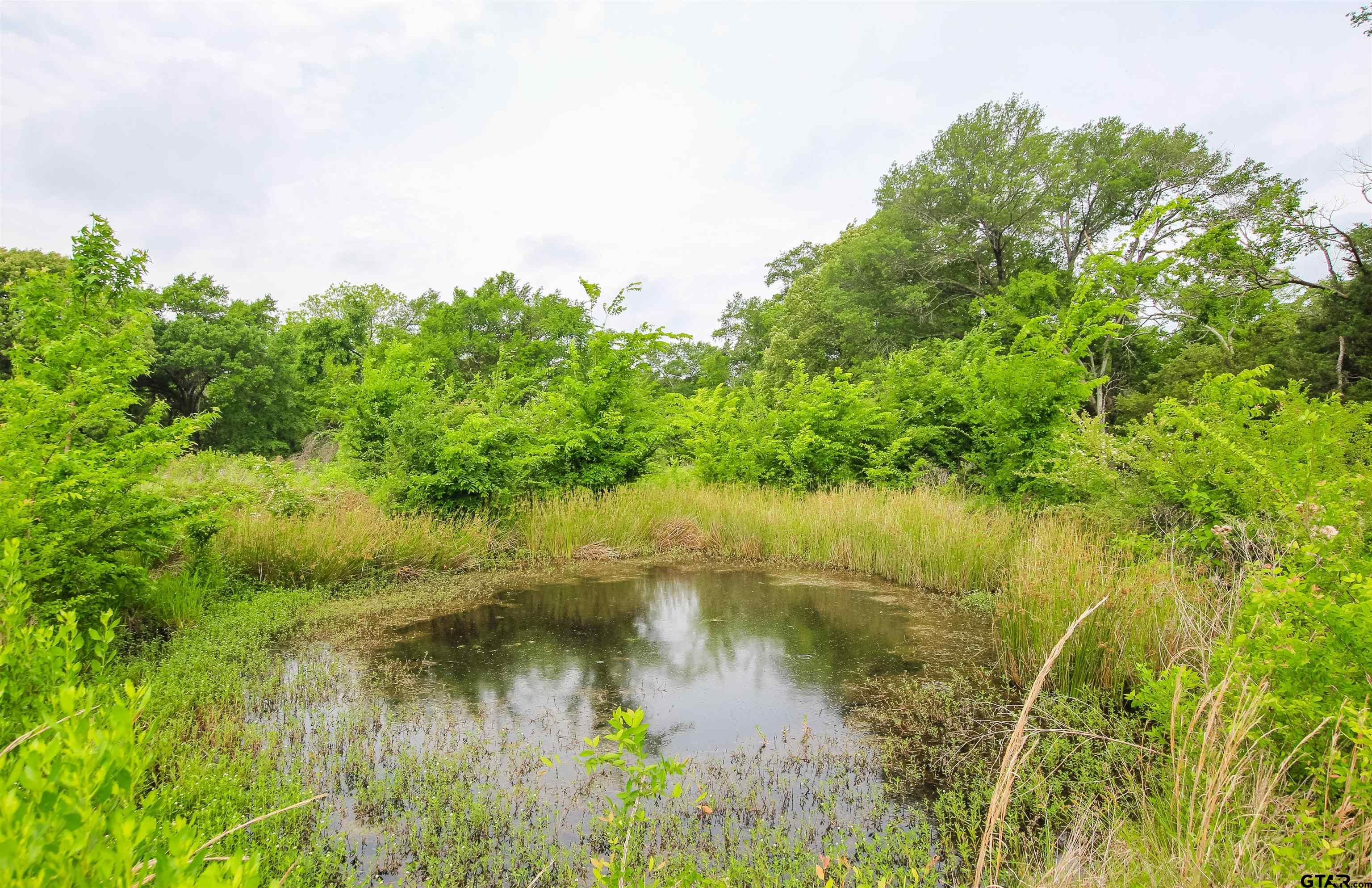 2150 Wills Point Wills Point, TX 75169 - Photo 4 of 6