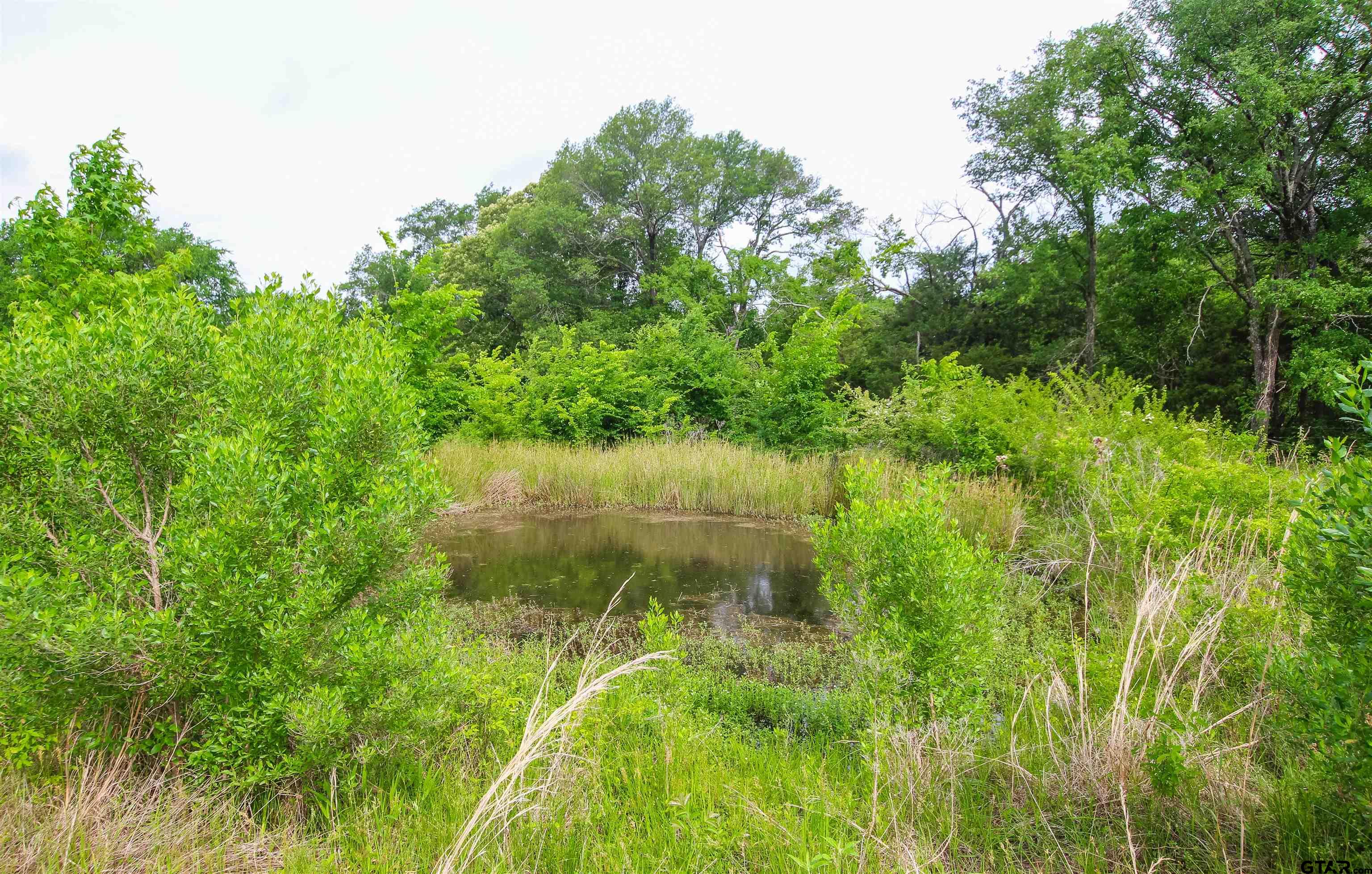 2150 Wills Point Wills Point, TX 75169 - Photo 6 of 6