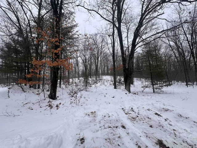 $19,900 | Nejedlo Lane, Unit 1, Wausaukee, WI 54177