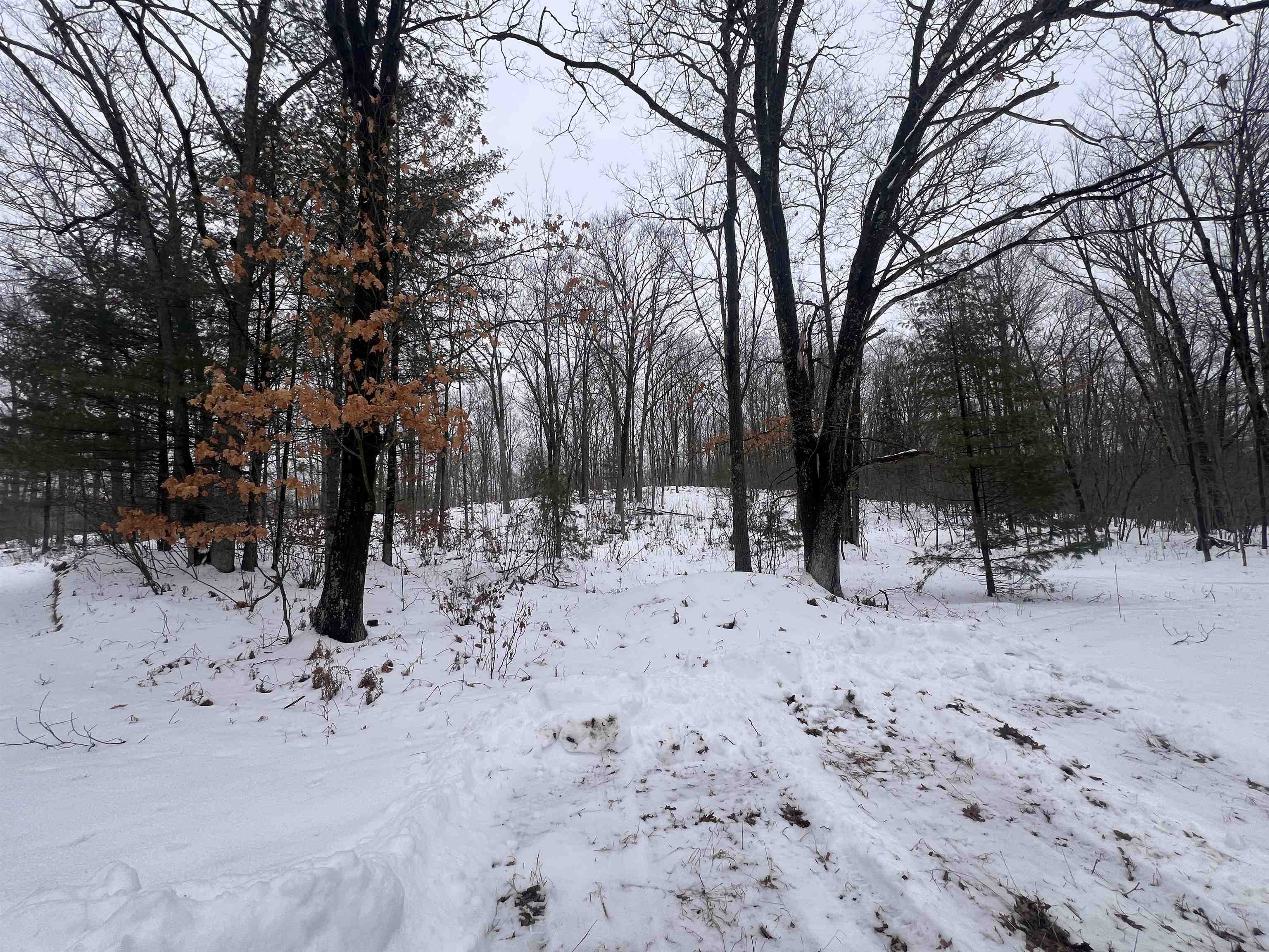 Nejedlo Lane, Unit 1 Wausaukee, WI 54177 - Photo 2 of 3