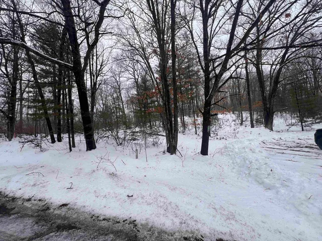 $19,900 | Nejedlo Lane, Unit 1, Wausaukee, WI 54177