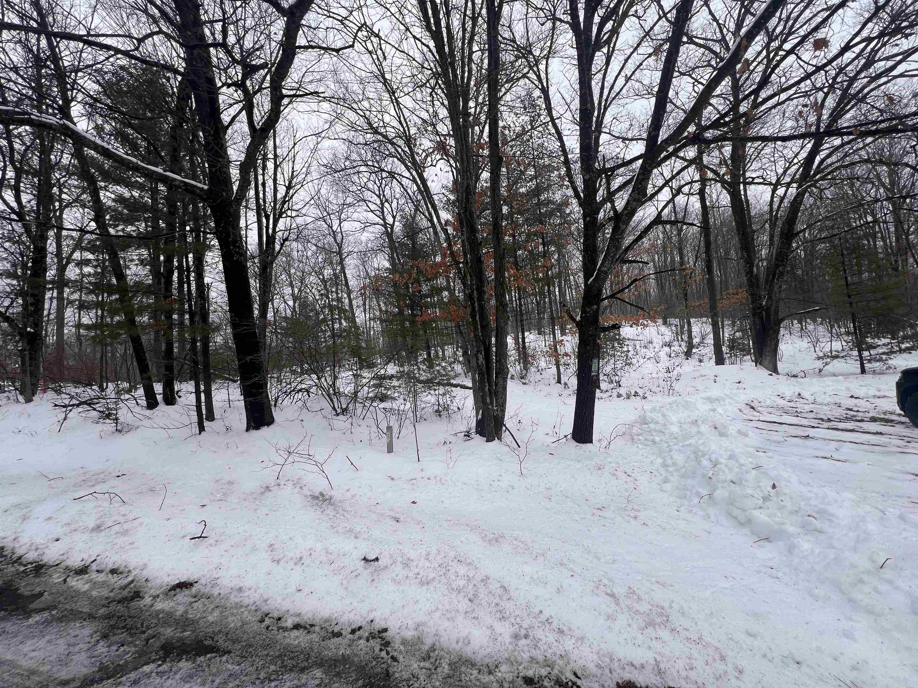 Nejedlo Lane, Unit 1 Wausaukee, WI 54177 - Photo 3 of 3