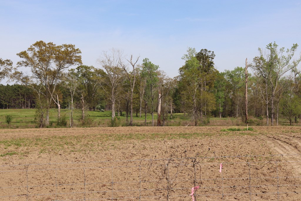 2154 J East Saunders Road Dothan, AL 36301 - Photo 4 of 15