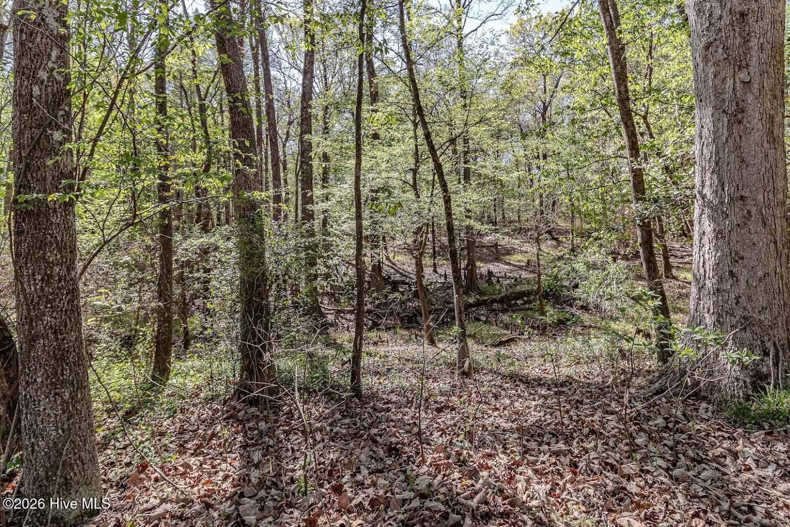 345 Rock Road Goldsboro, NC 27534 - Photo 28 of 30 backyard