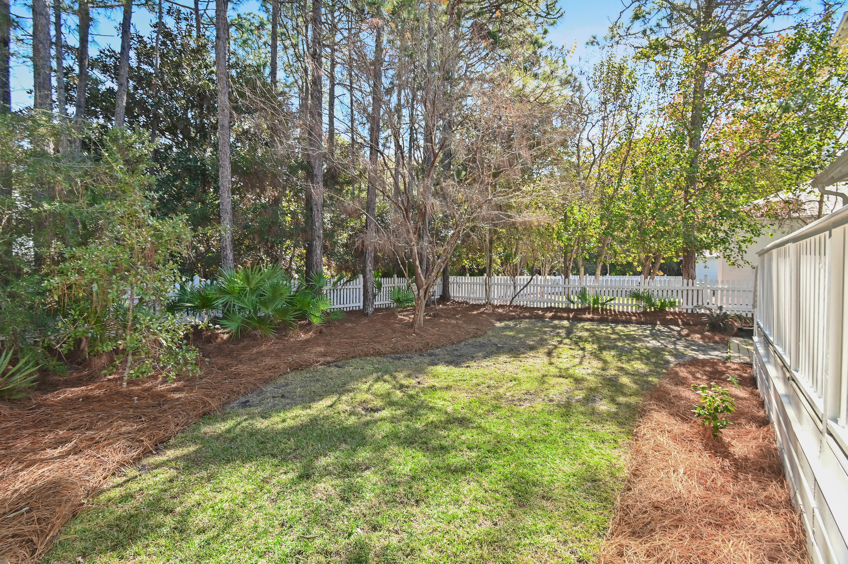 158 Cullman Avenue Santa Rosa Beach, FL 32459 - Photo 28 of 47 a view of yard with trees